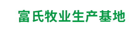 华体会体育电脑版